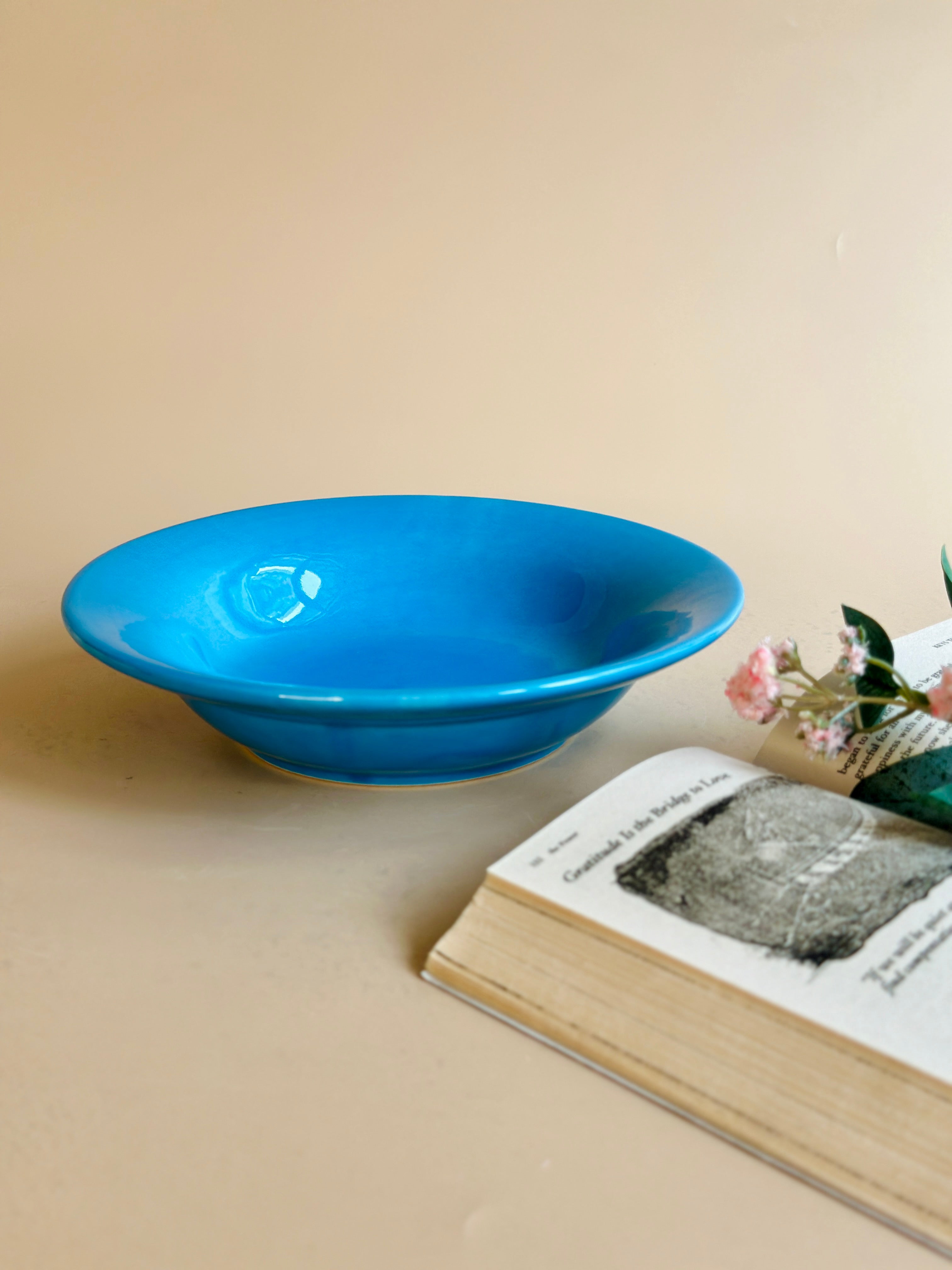 Blue Pasta Plates Nurture India
