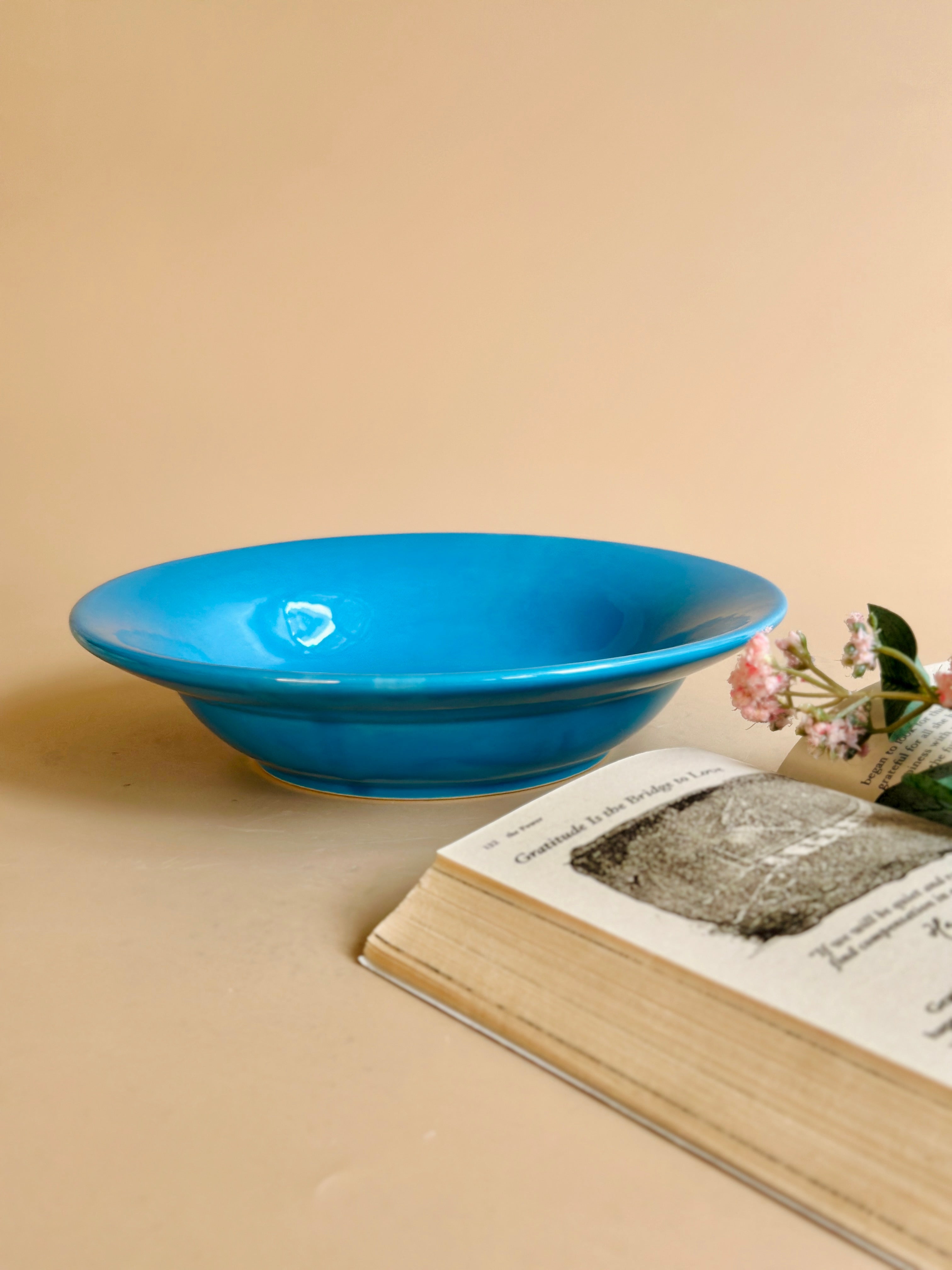 Blue Pasta Plates 2 Nurture India