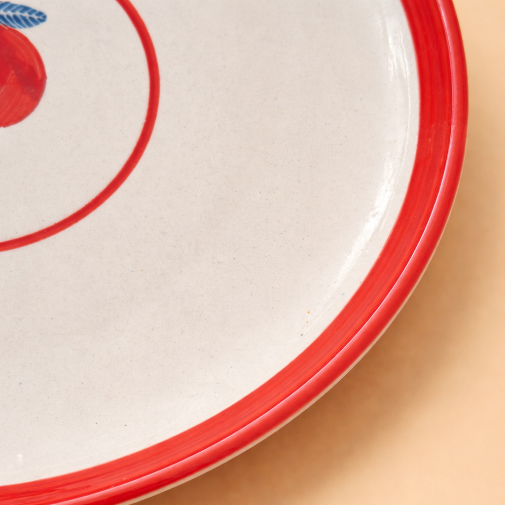 Anaar Bazaar Ceramic Dinner Plate (10.5 inches) Dispatches 1st May