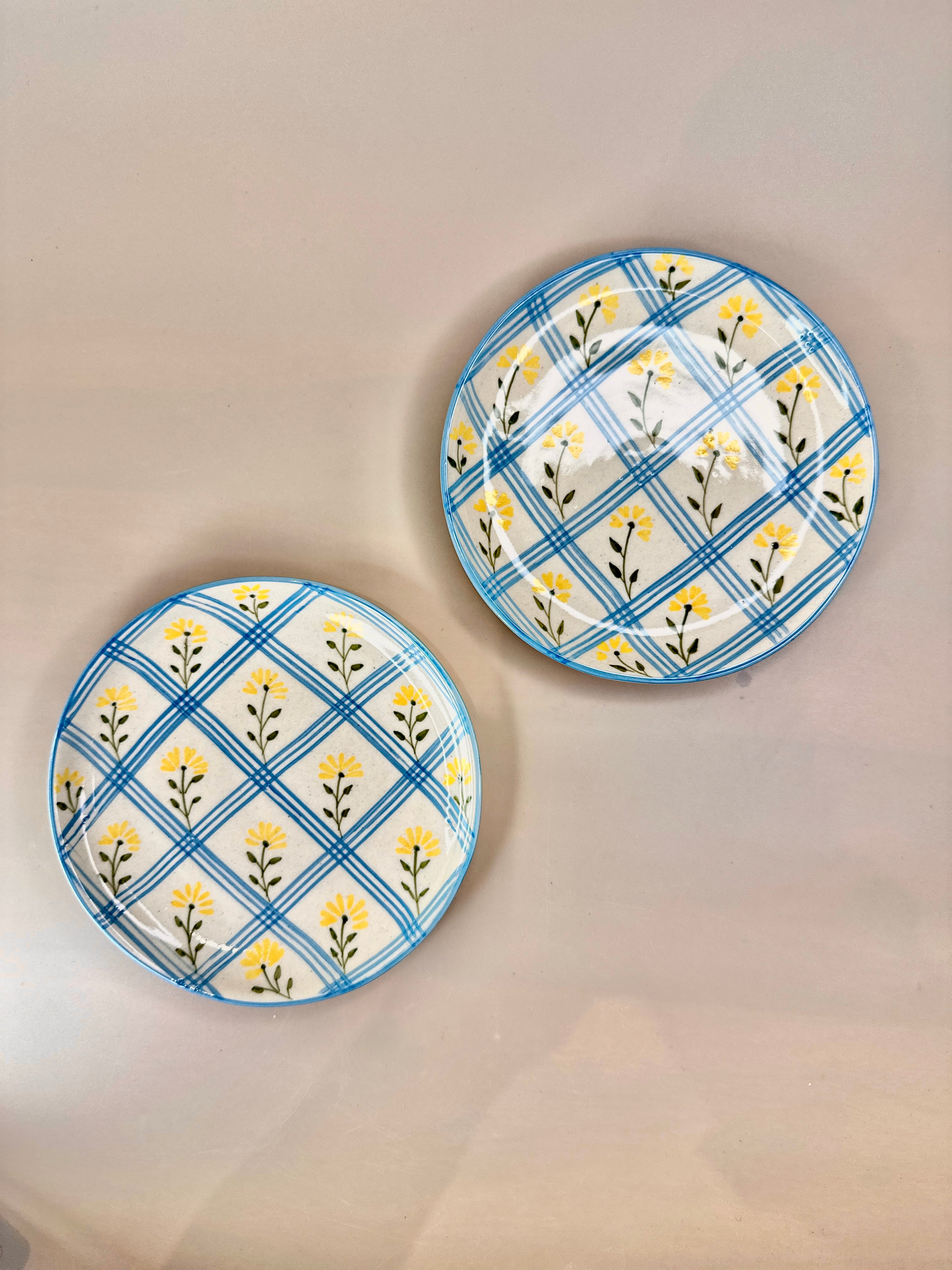 Dusty-plates-Nurture-india