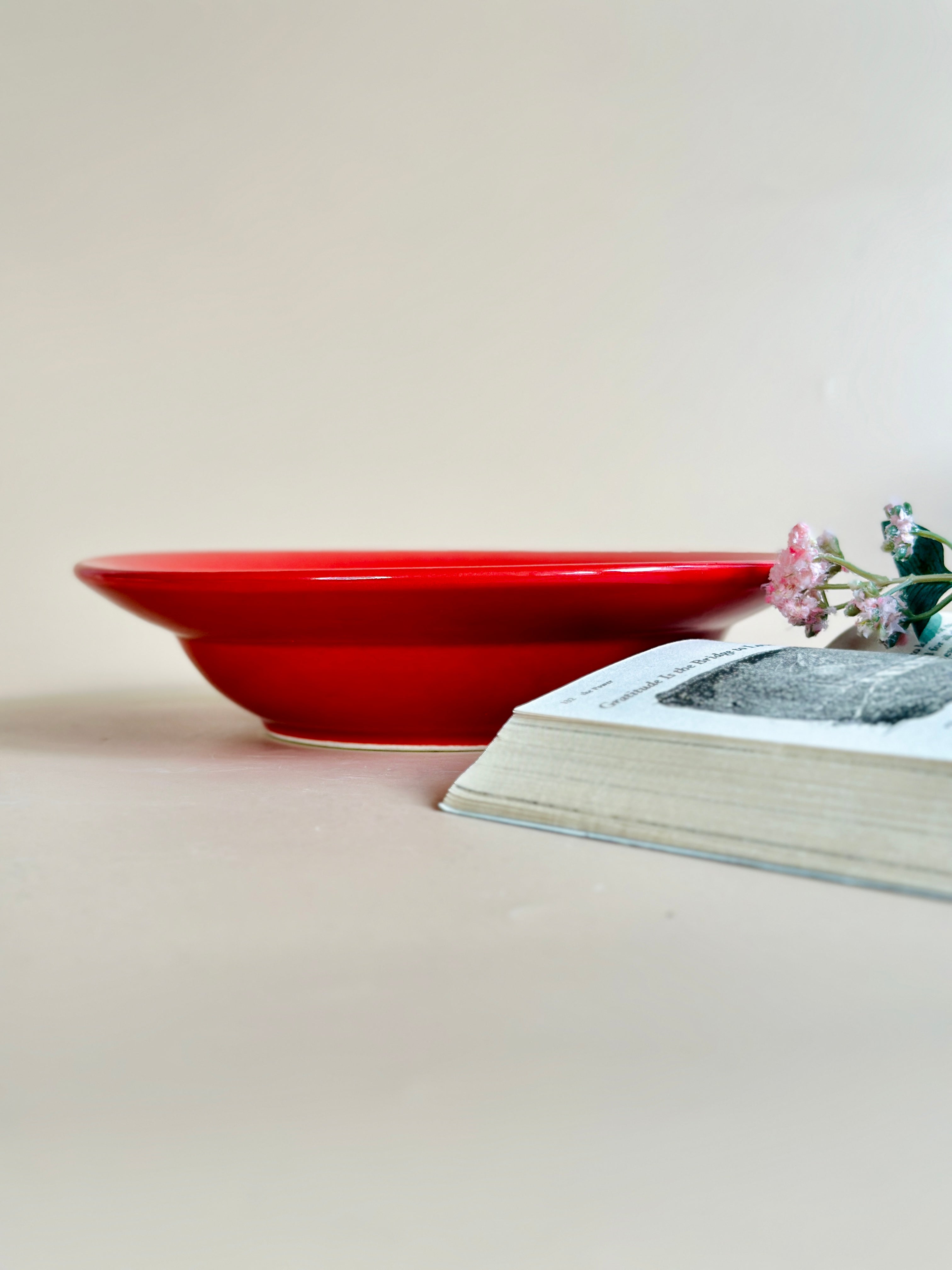 Have It All Pasta Bowl - Bright Red
