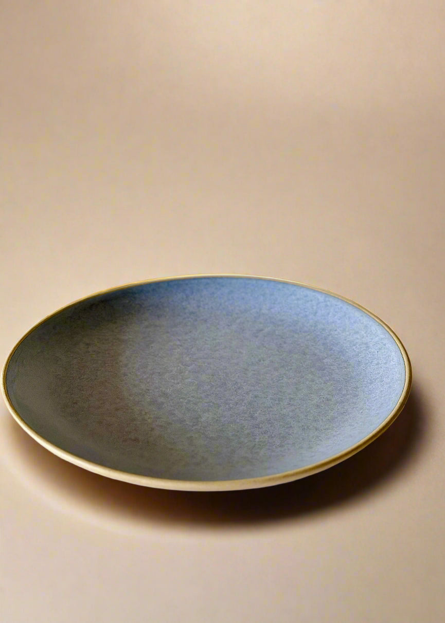 Ocean Grey Dinner Plates (10 Inches )