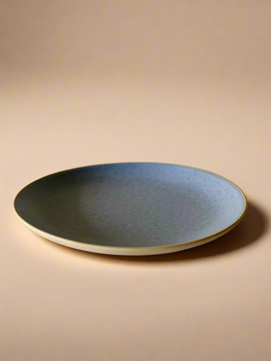 Ocean Grey Dinner Plates (10 Inches )