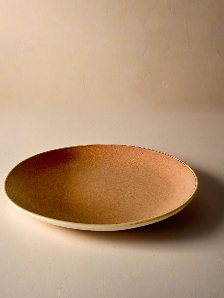 Terracotta Brown Dinner Plates (10 Inches )