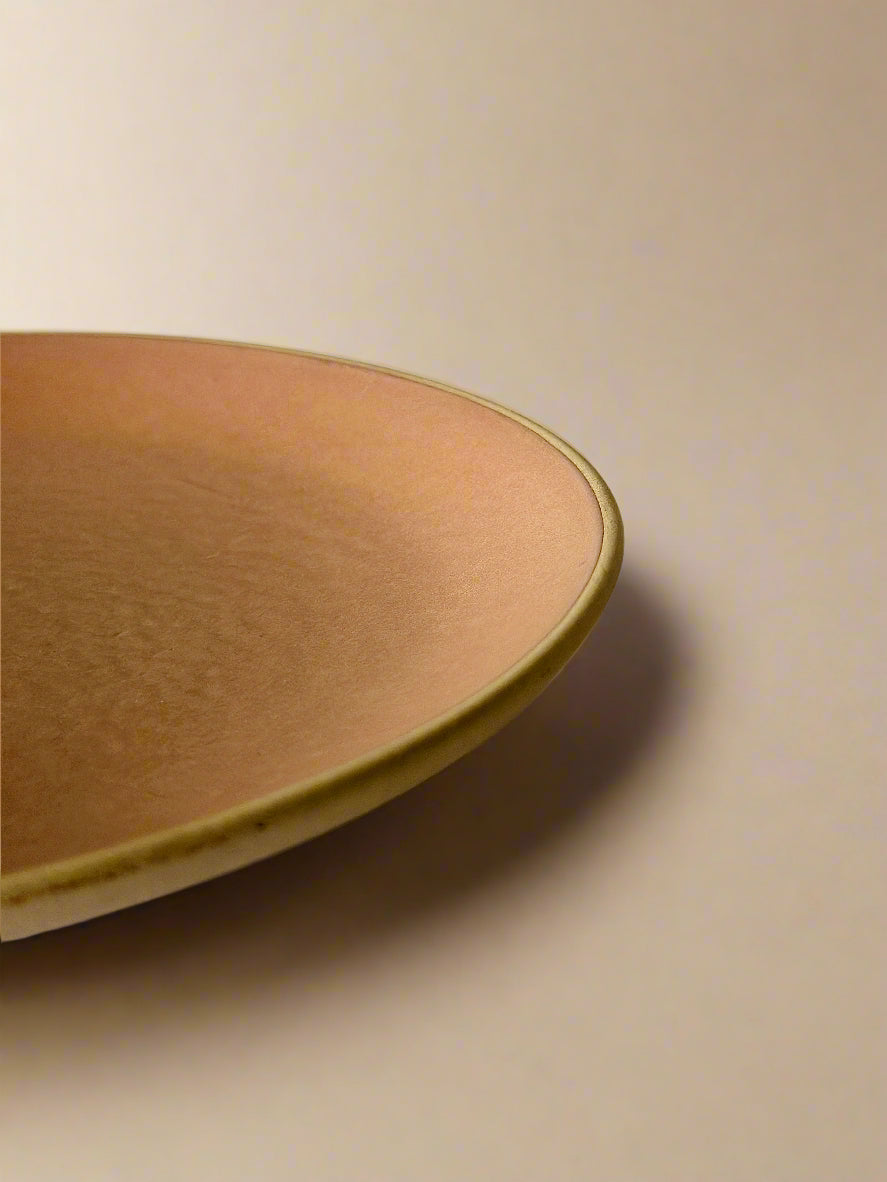 Terracotta Brown Dinner Plates (10 Inches )