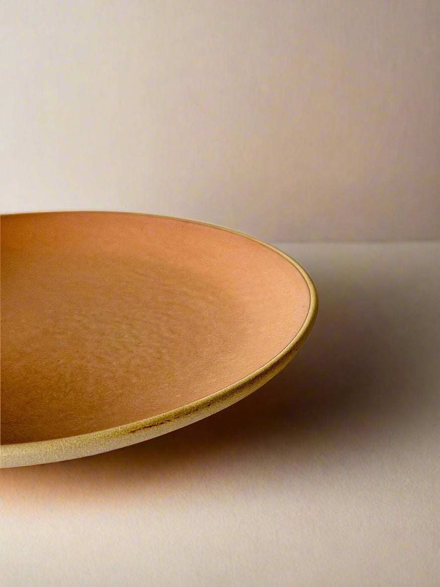 Terracotta Brown Dinner Plates (10 Inches )