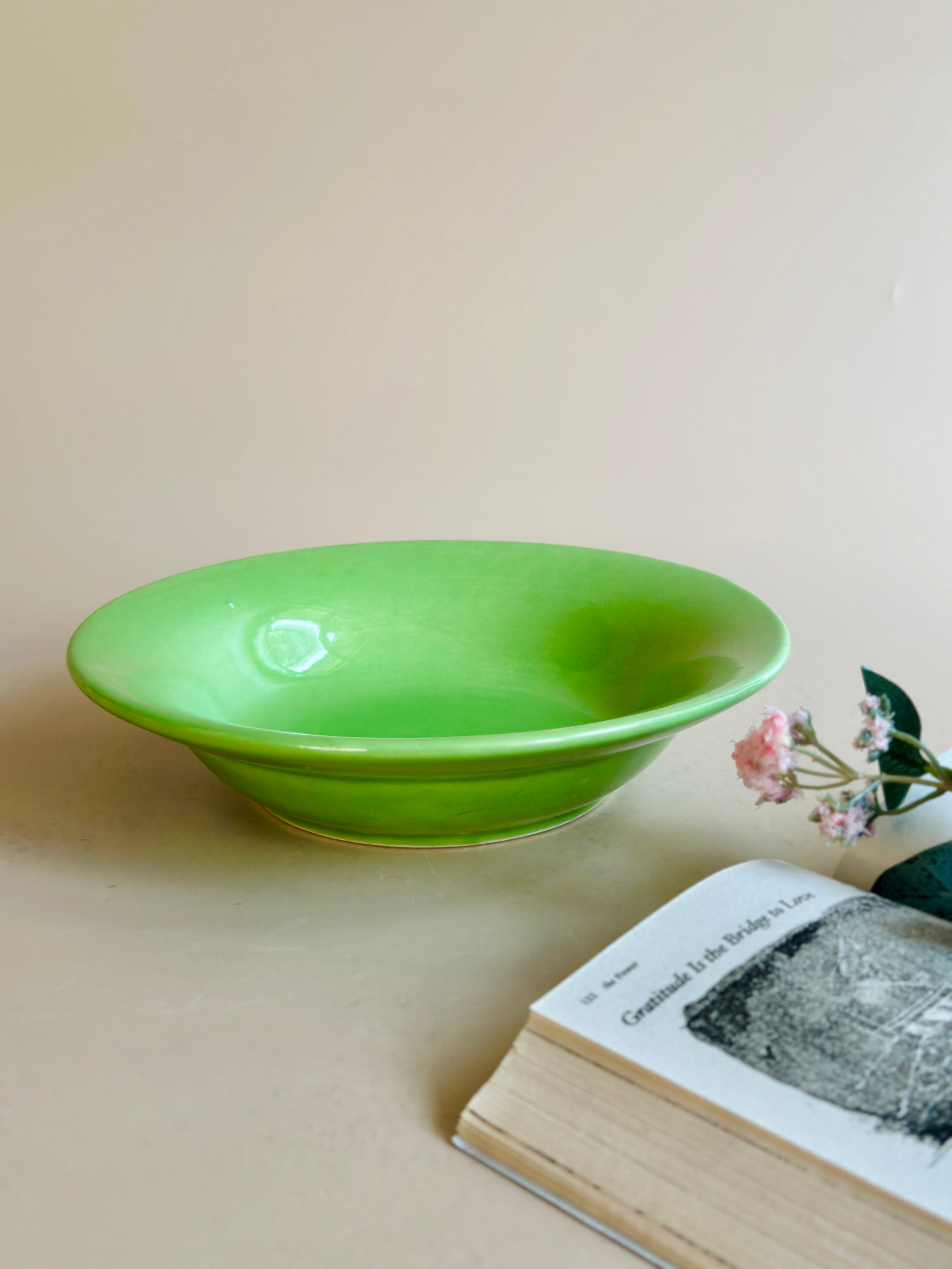Parrot Green Pasta Plates1 Nurture India