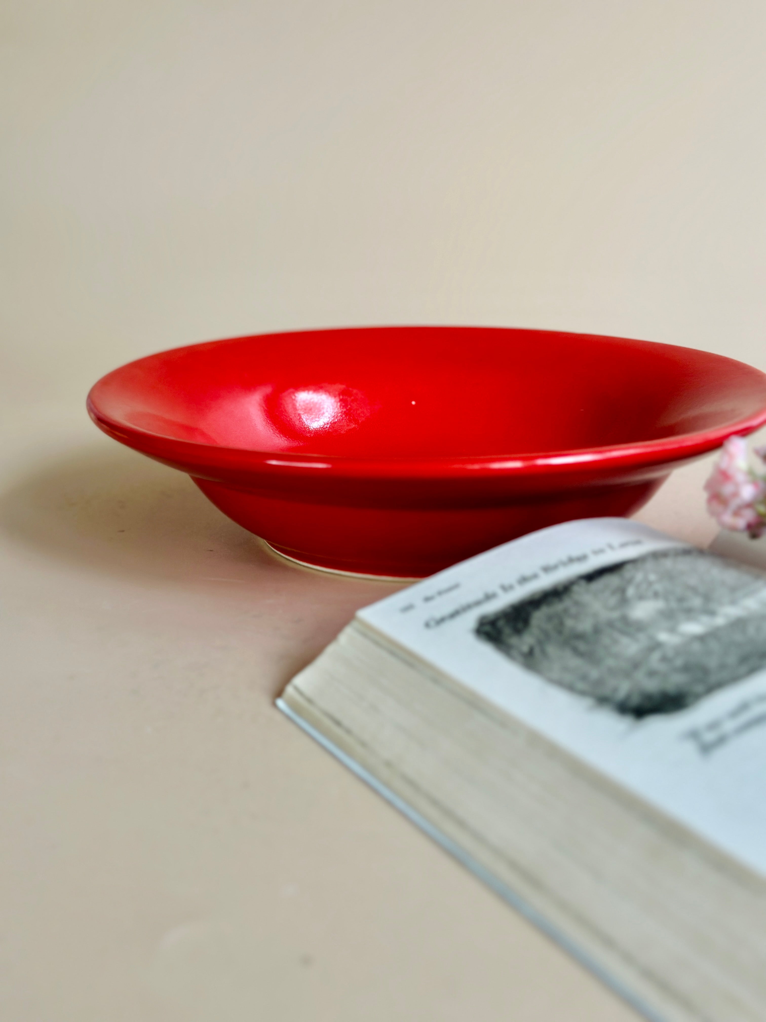 Red Pasta Plates3 Nurture India