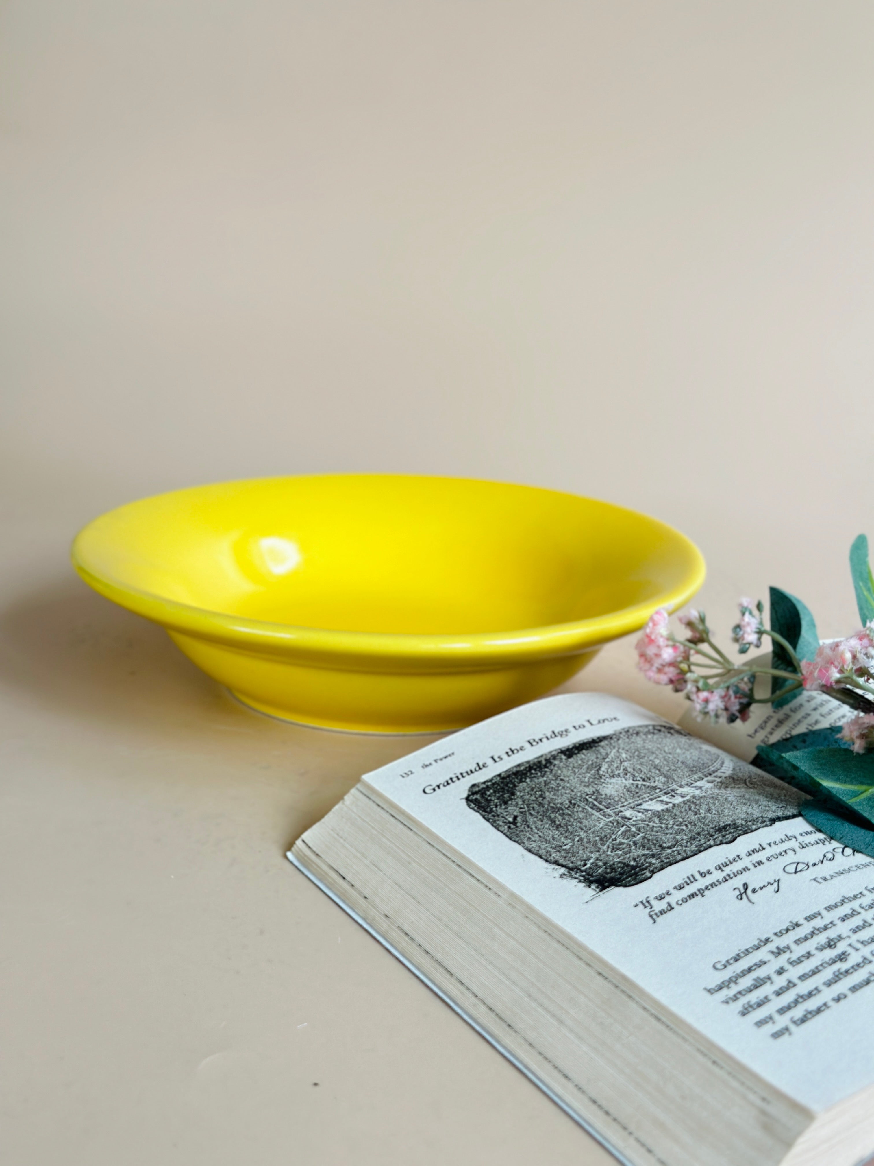 Yellow Pasta Plates Nurture India