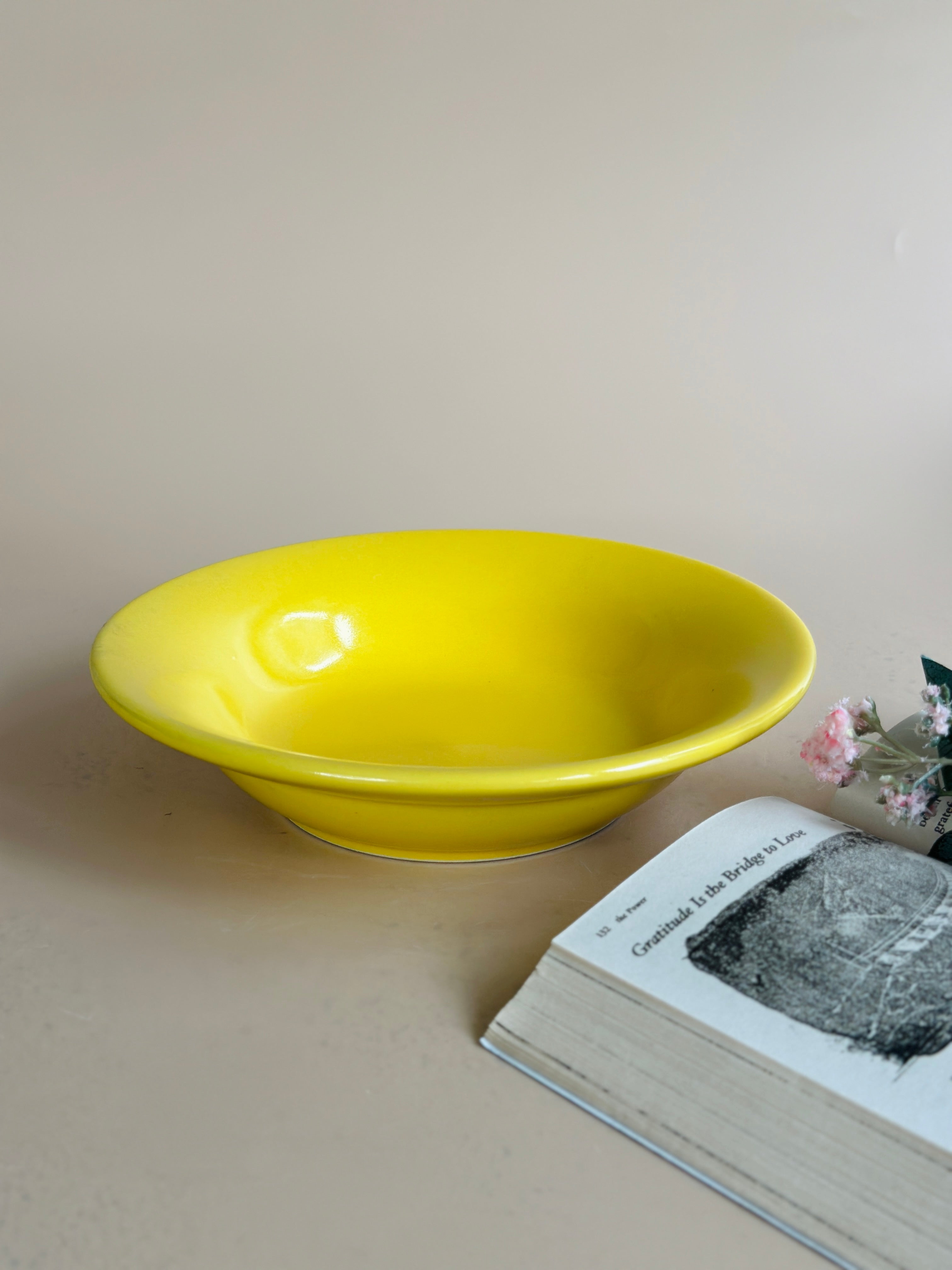 Yellow Pasta Plates2 Nurture India