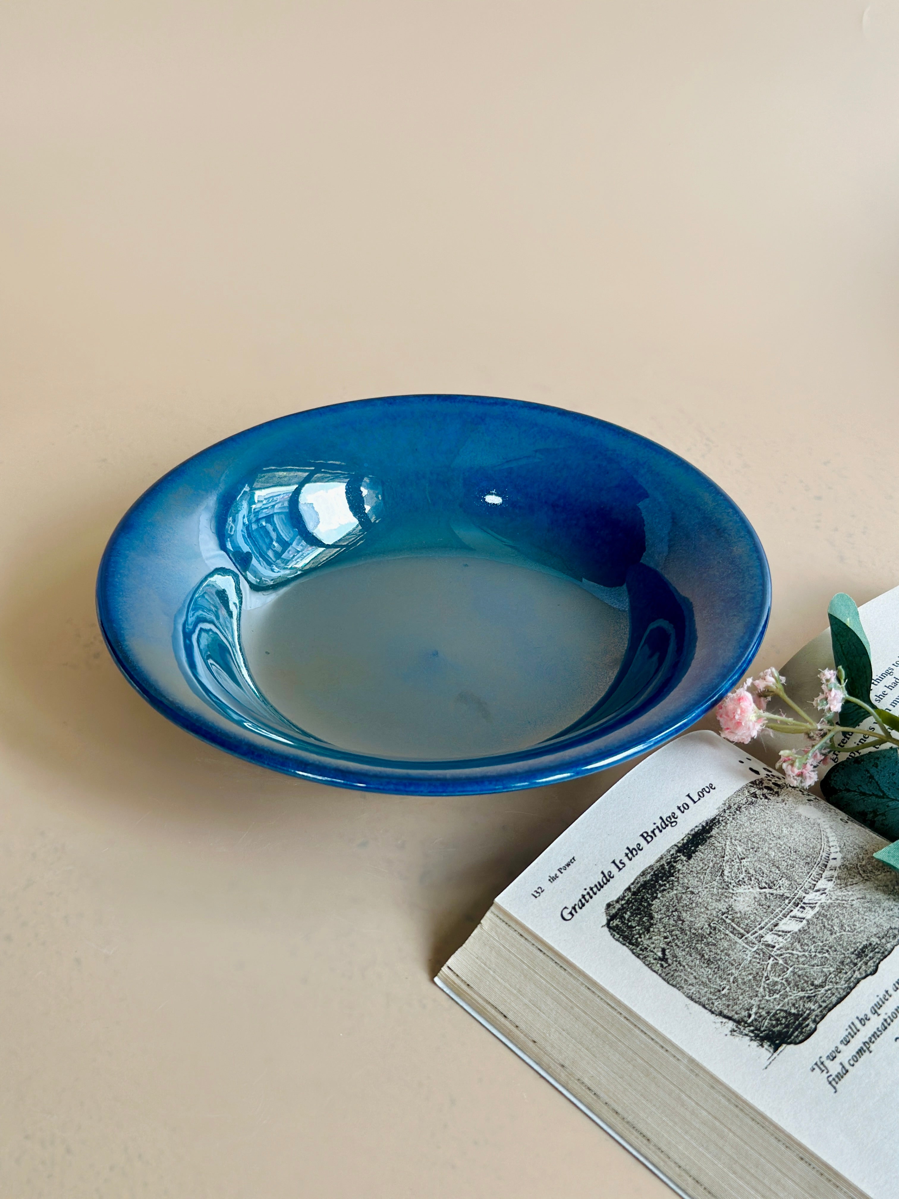 dark blue pasta plate nurture india