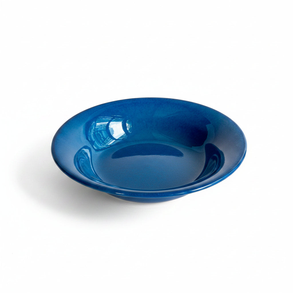 dark blue pasta plate nurture india
