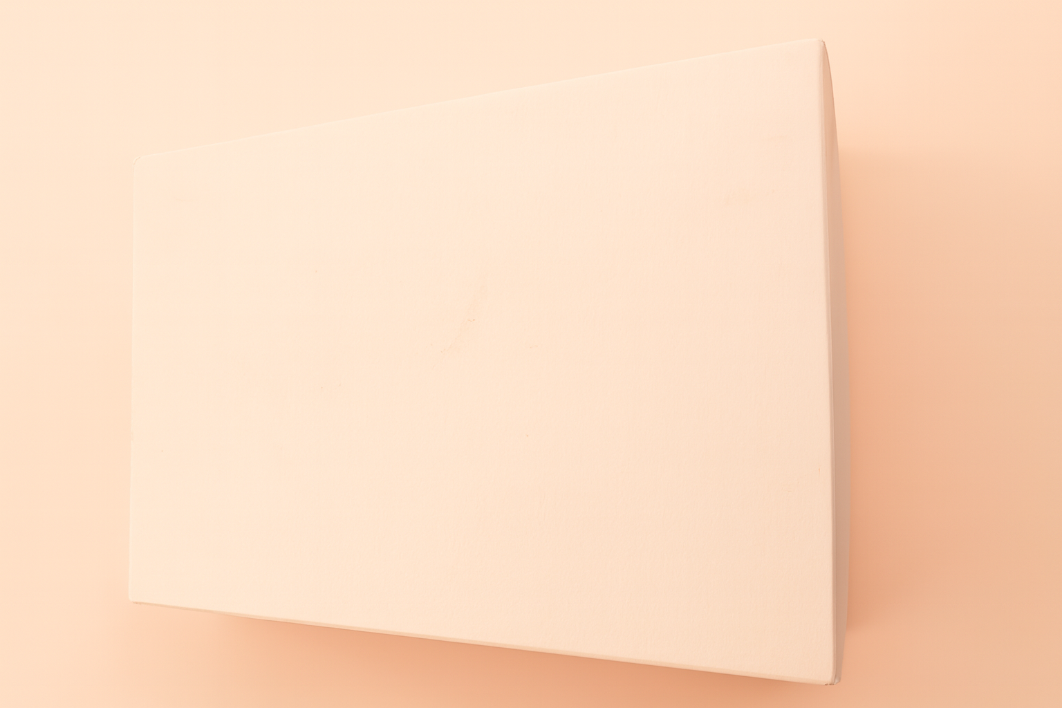 Large Gift Box With Ribbon (Gifting Box Only)