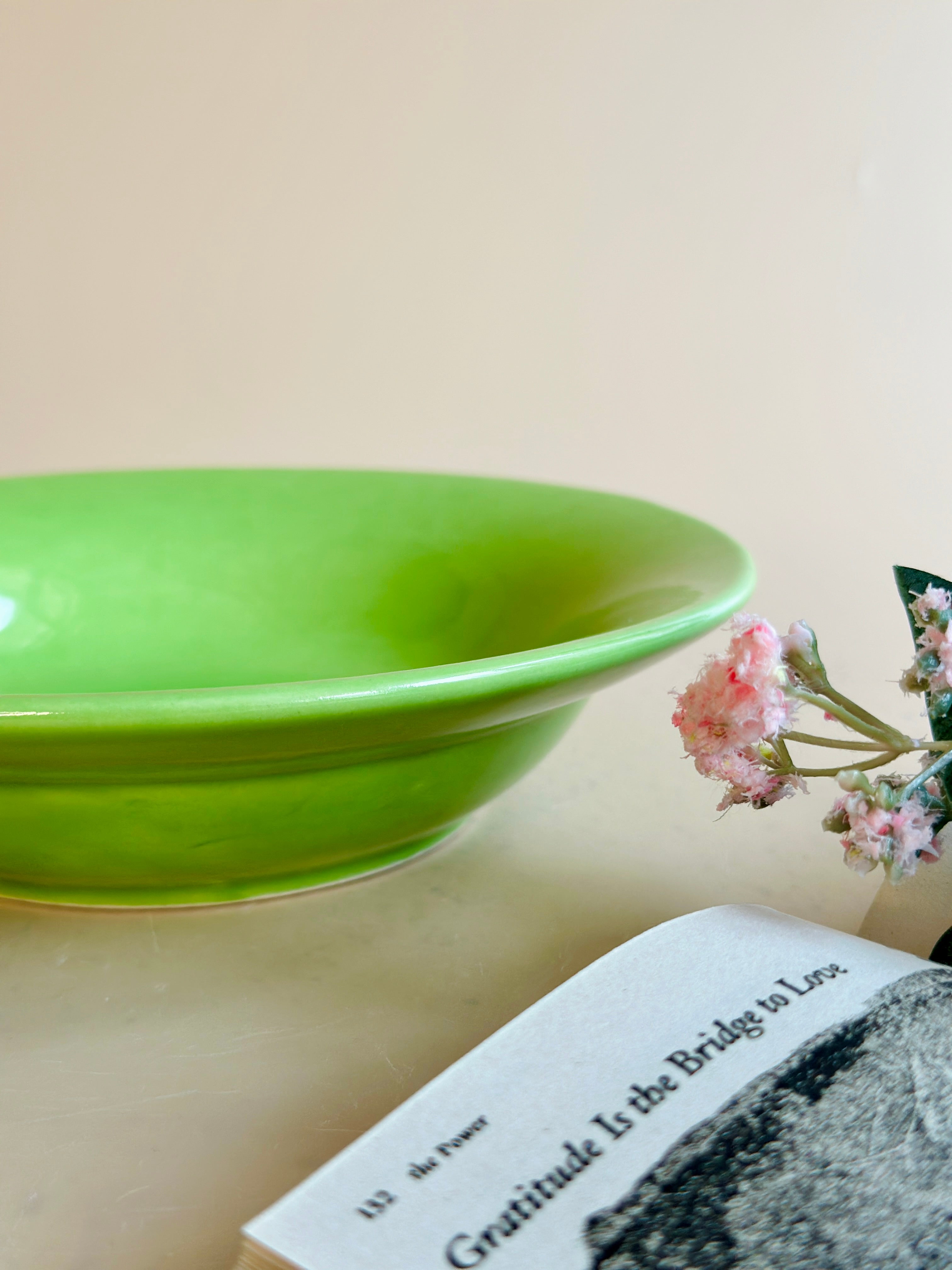 parrot green pasta plate nurture india