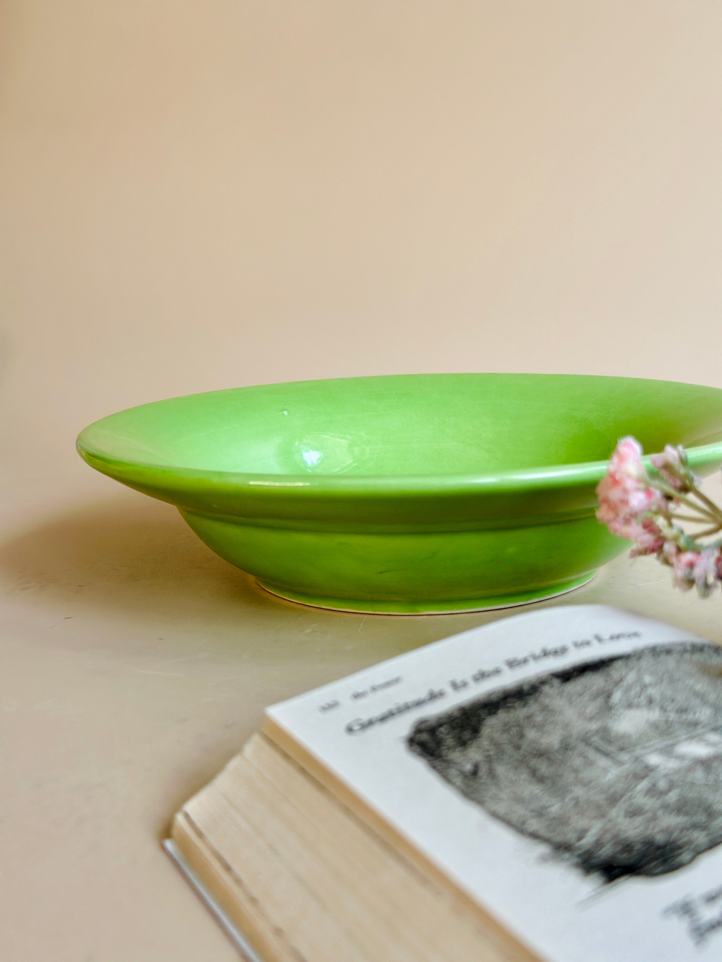 parrot green pasta plate nurture india