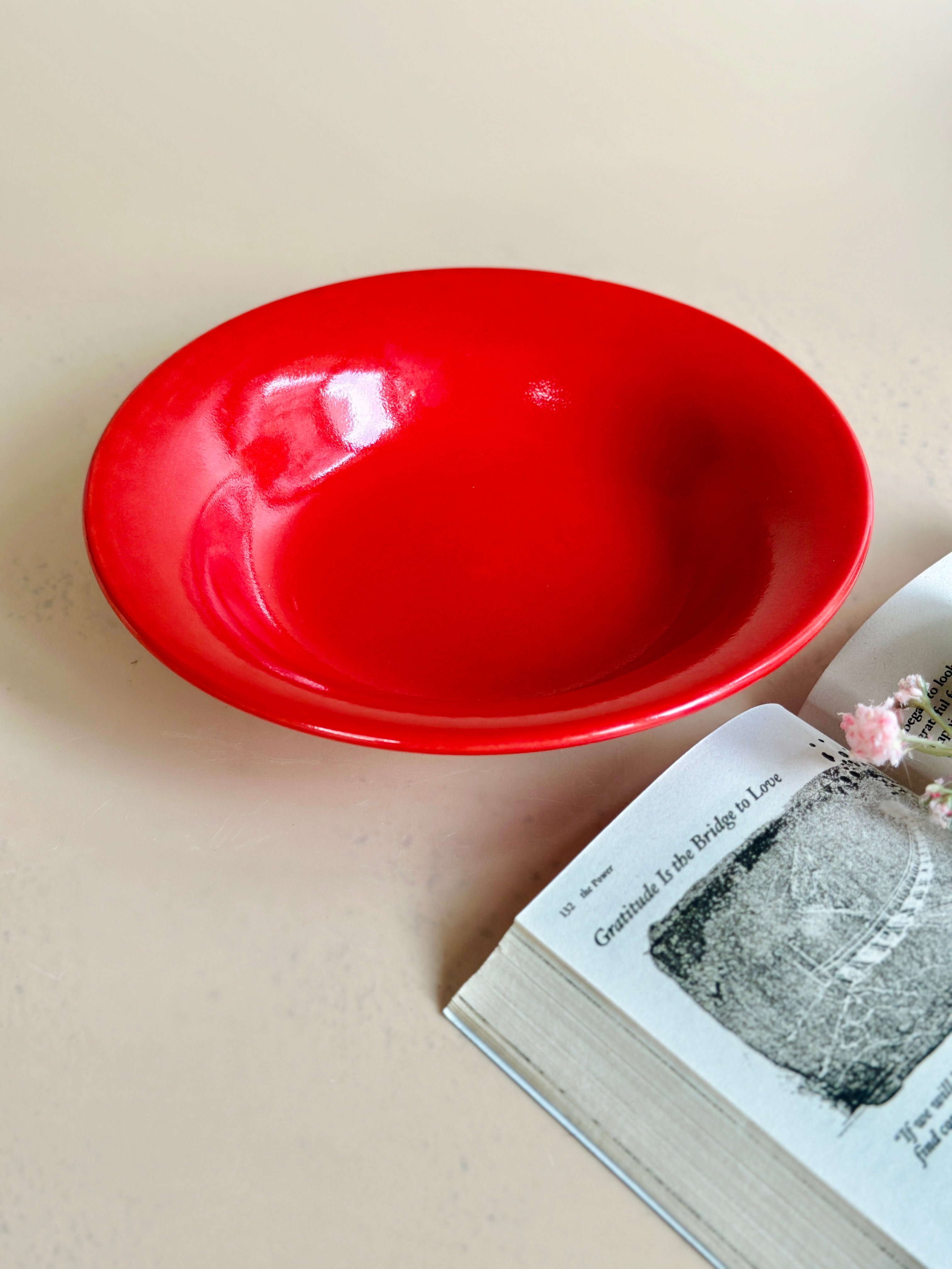 red pasta plate nurture india