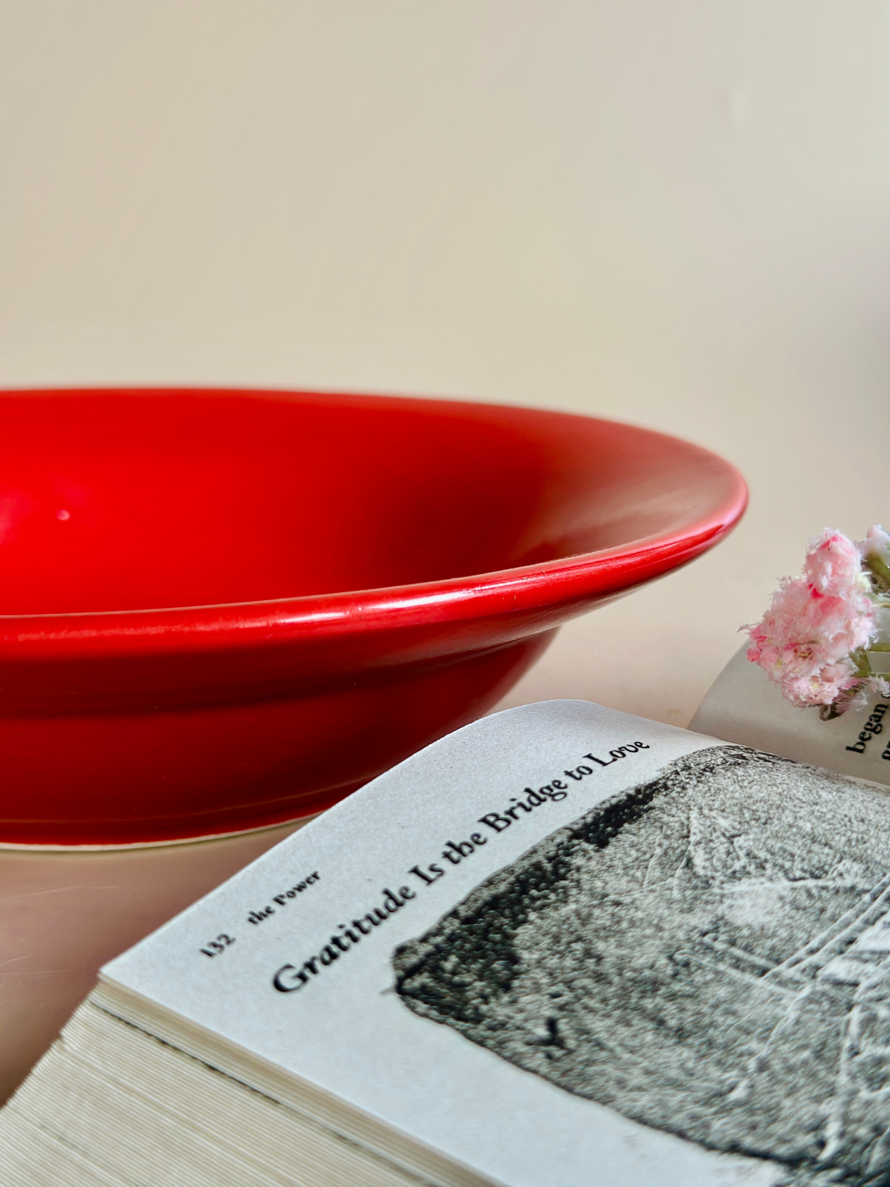 red pasta plate ceramic nurture india