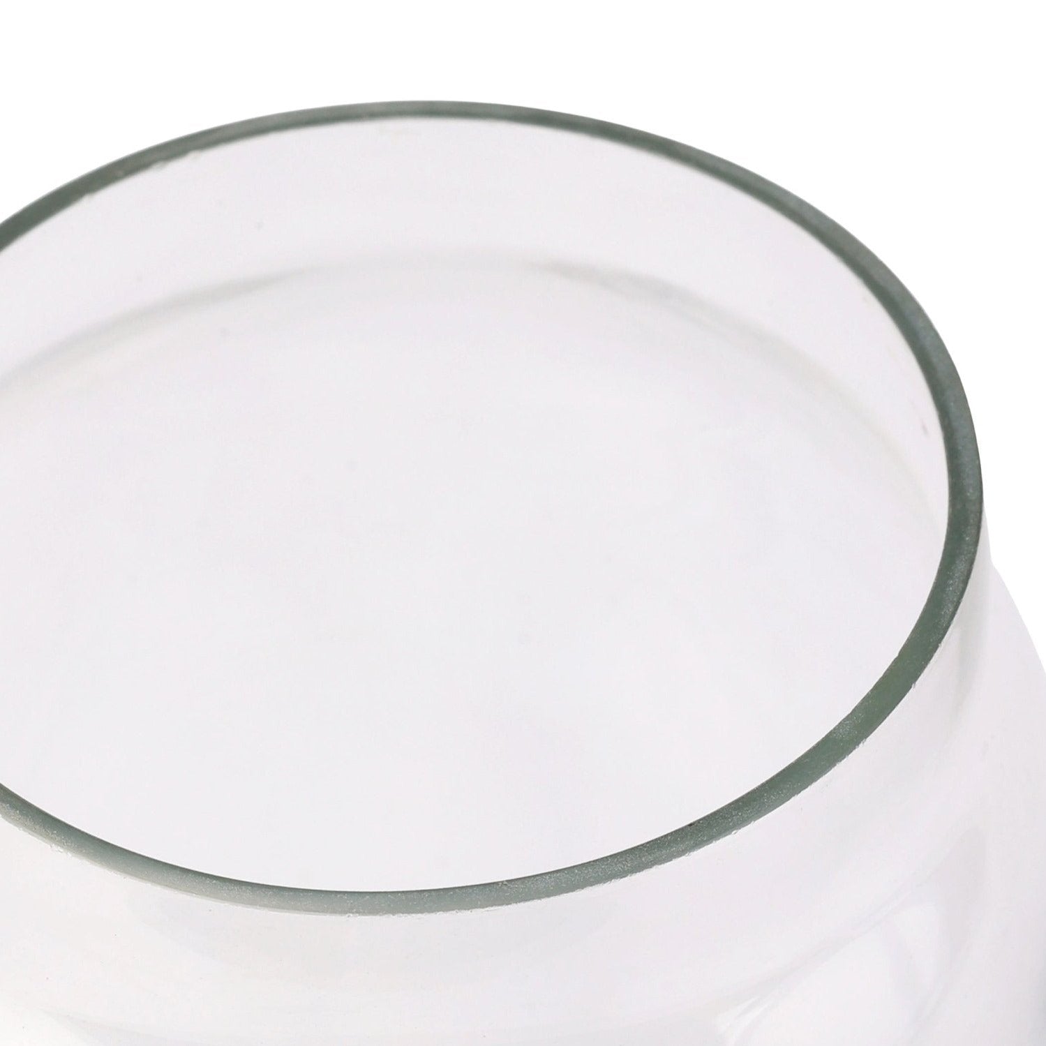 Transparent Glass Minimal Conical Terri Vase - Nurture India