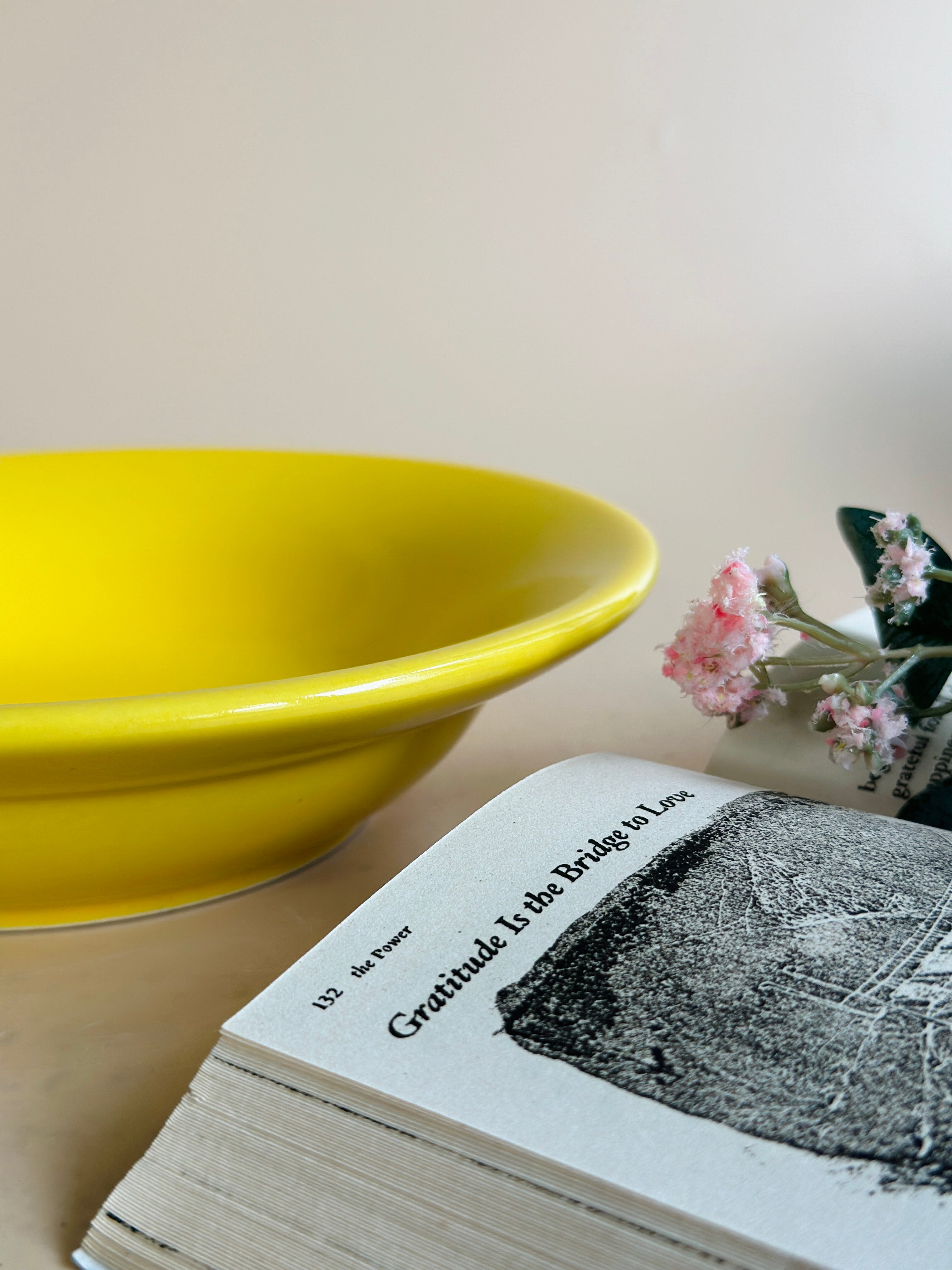 yellow pasta plate nurture india