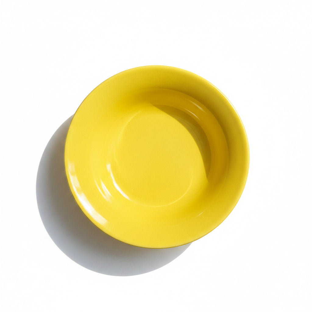 yellow pasta plate nurture india