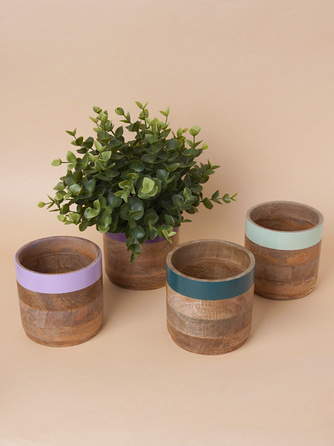 Multicolor Planter Set Of 4 (Green & Purple )