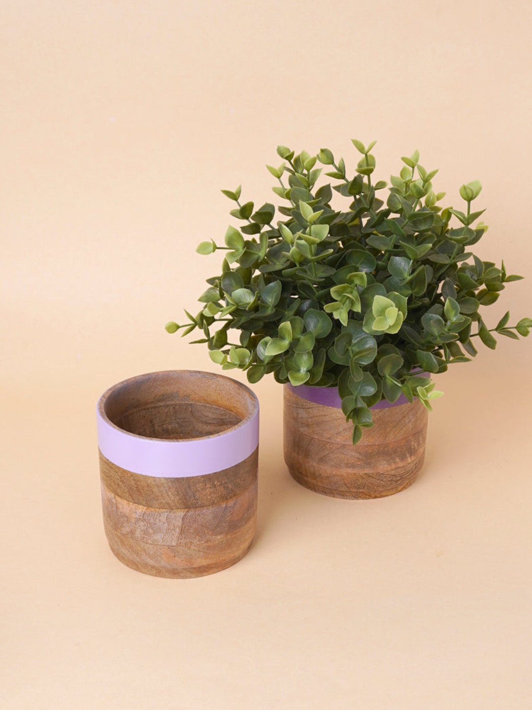 Multicolor Planter Set Of 4 (Green & Purple )