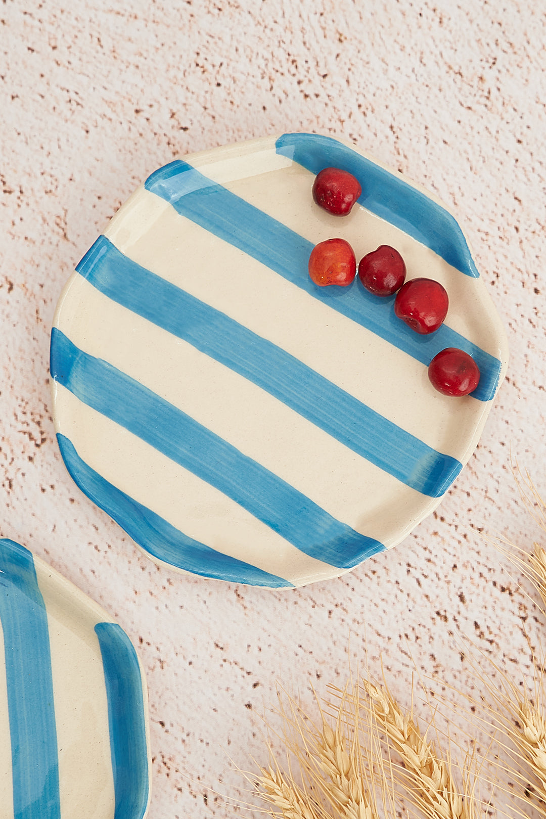 Sky Blue Stripe Ceramic Plates Set of 2