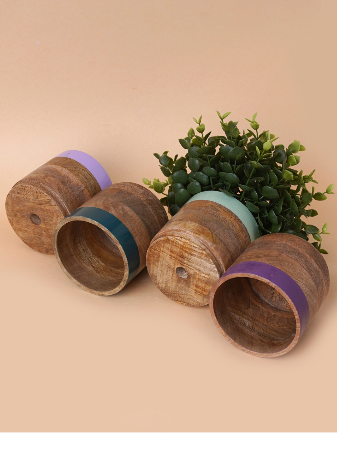 Multicolor Planter Set Of 4 (Green & Purple )