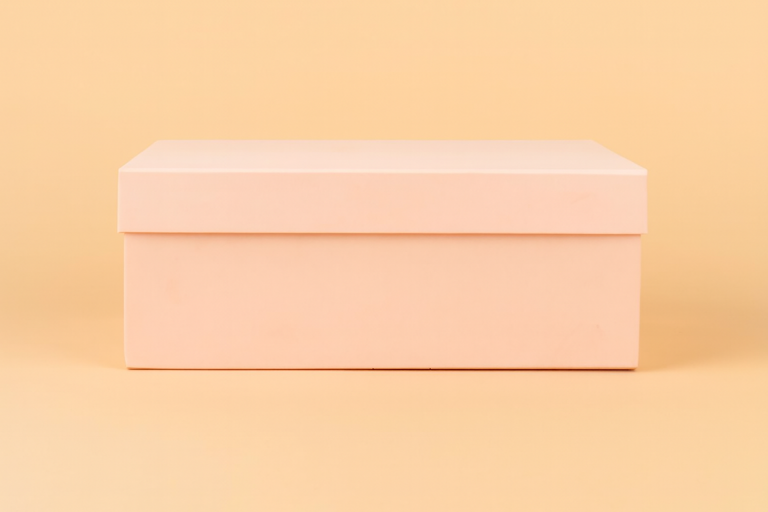 Large Gift Box With Ribbon (Gifting Box Only)