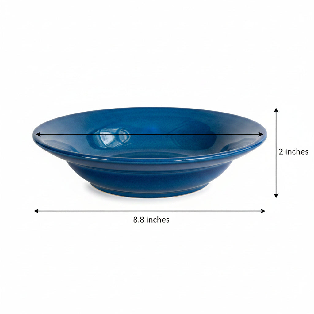 Dark Blue Pasta Plates Nurture India
