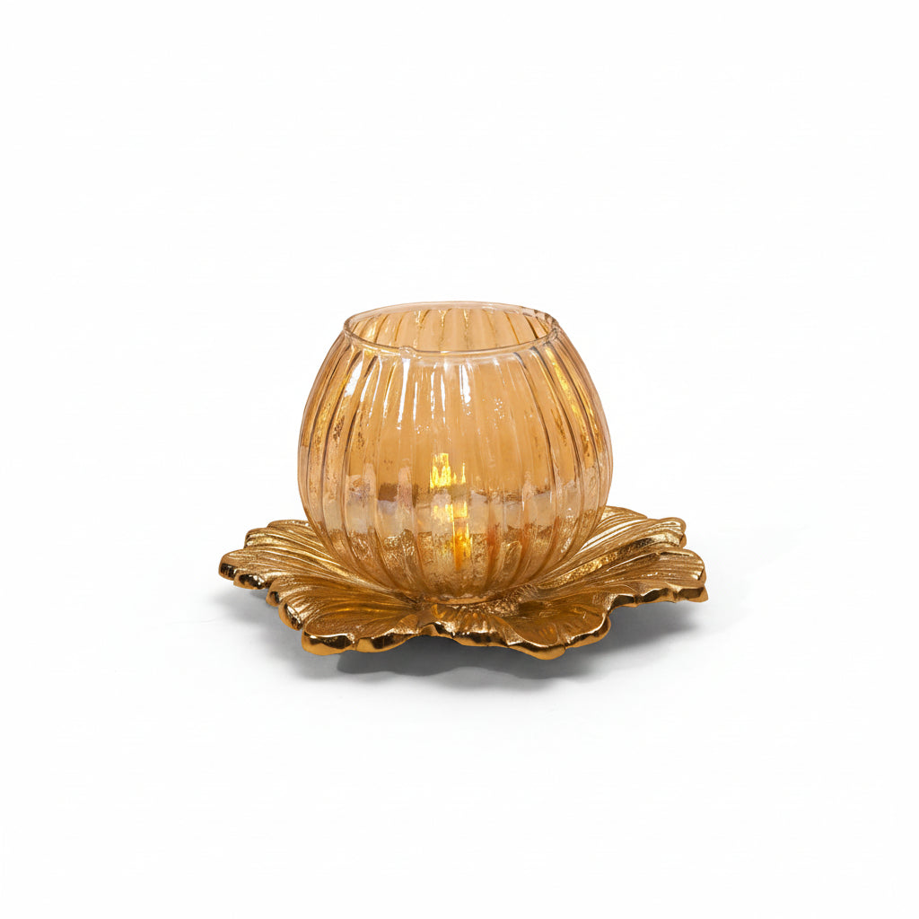 Glass Lamp Nurture India