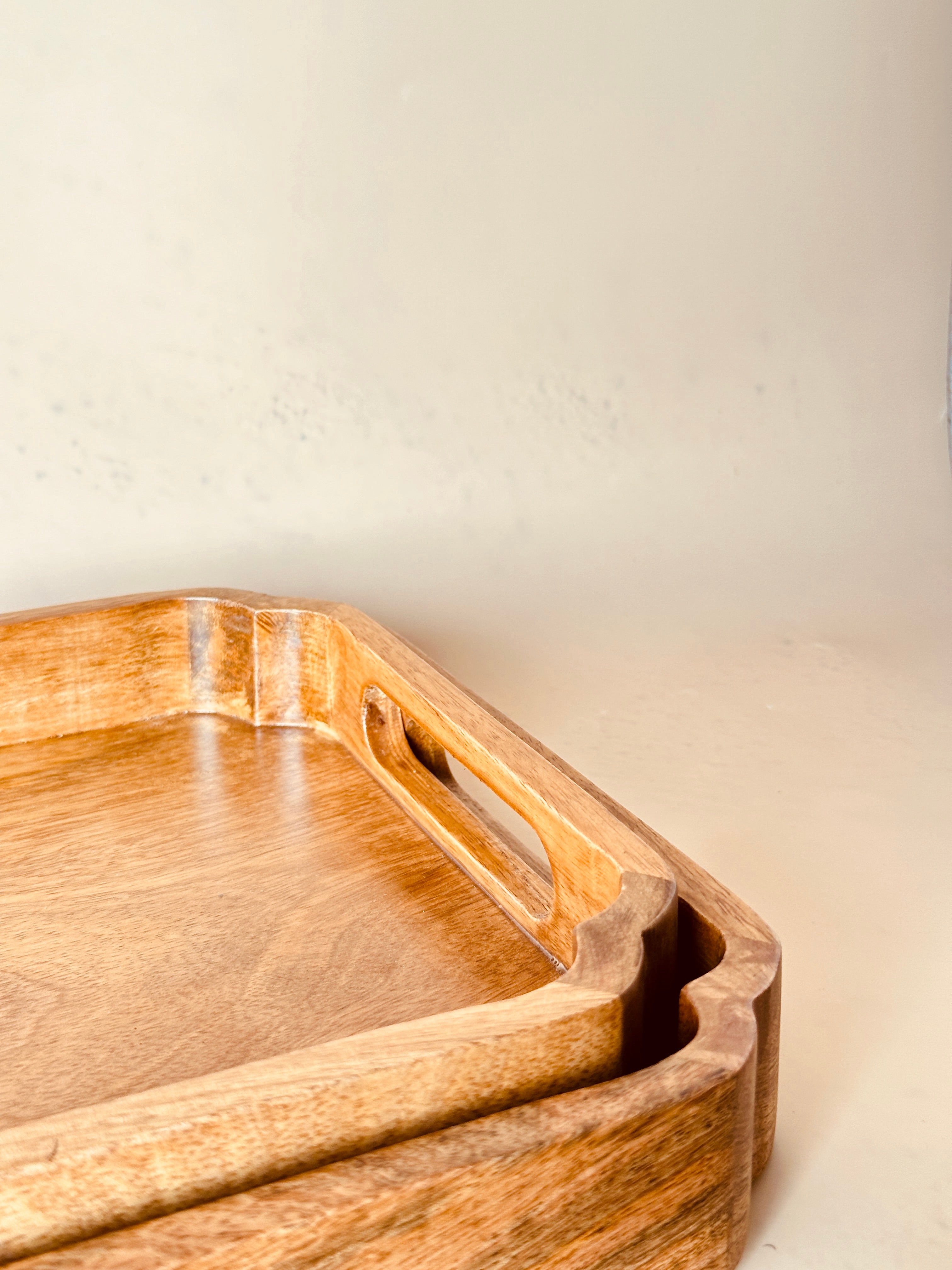 Mango Wood Rectangle Tray Set of 2