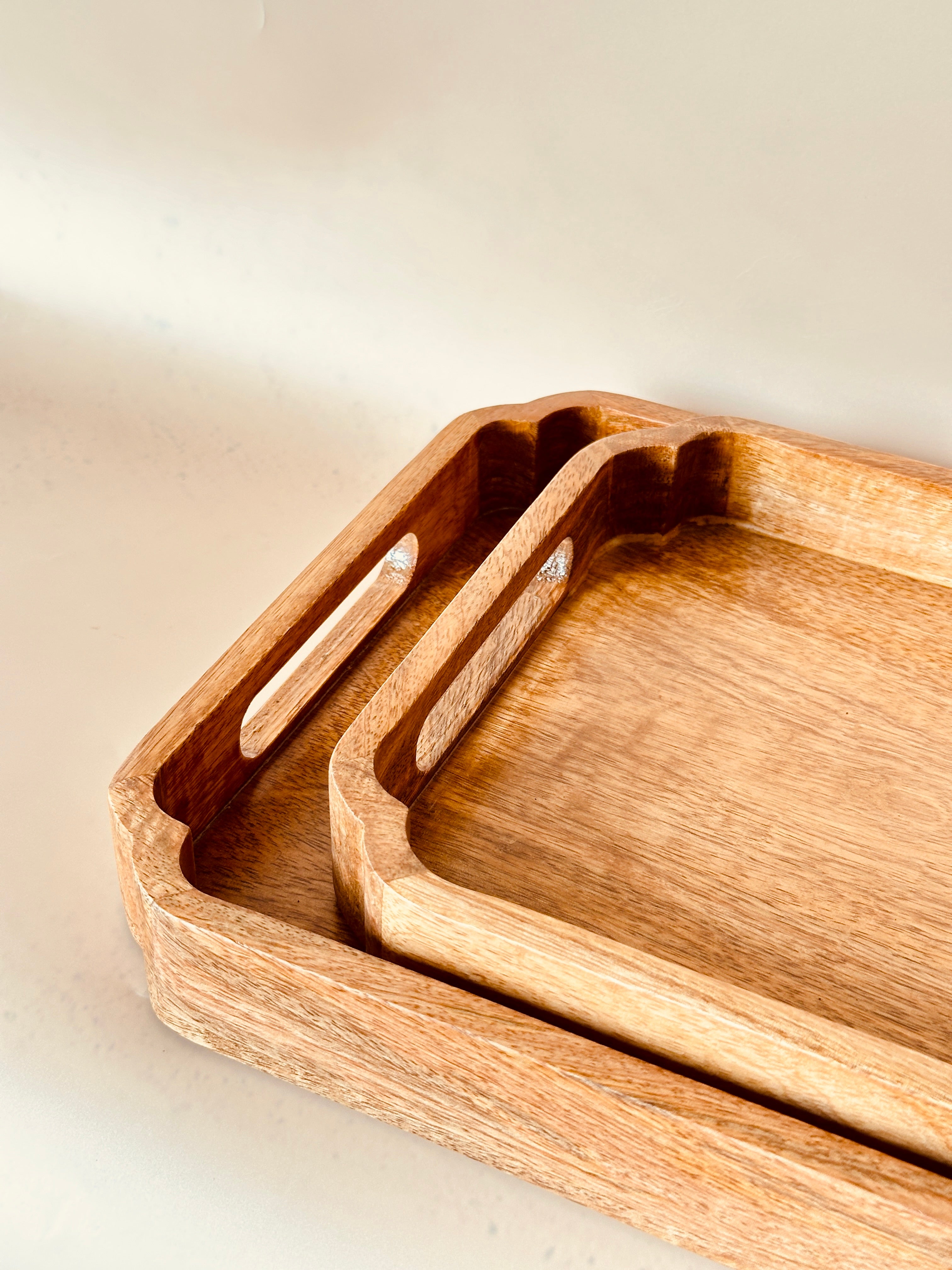 Mango Wood Rectangle Tray Set of 2