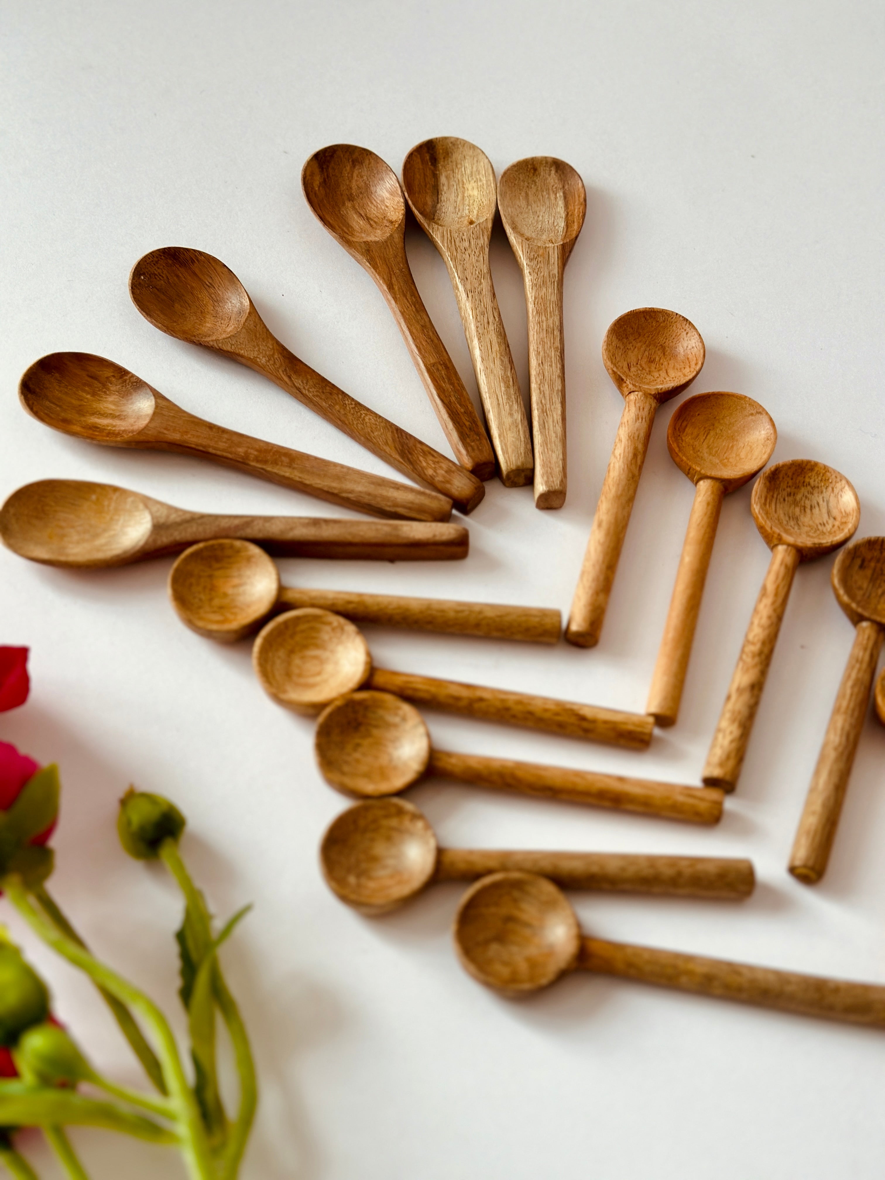 Salt & Spice Spoon Set of 16