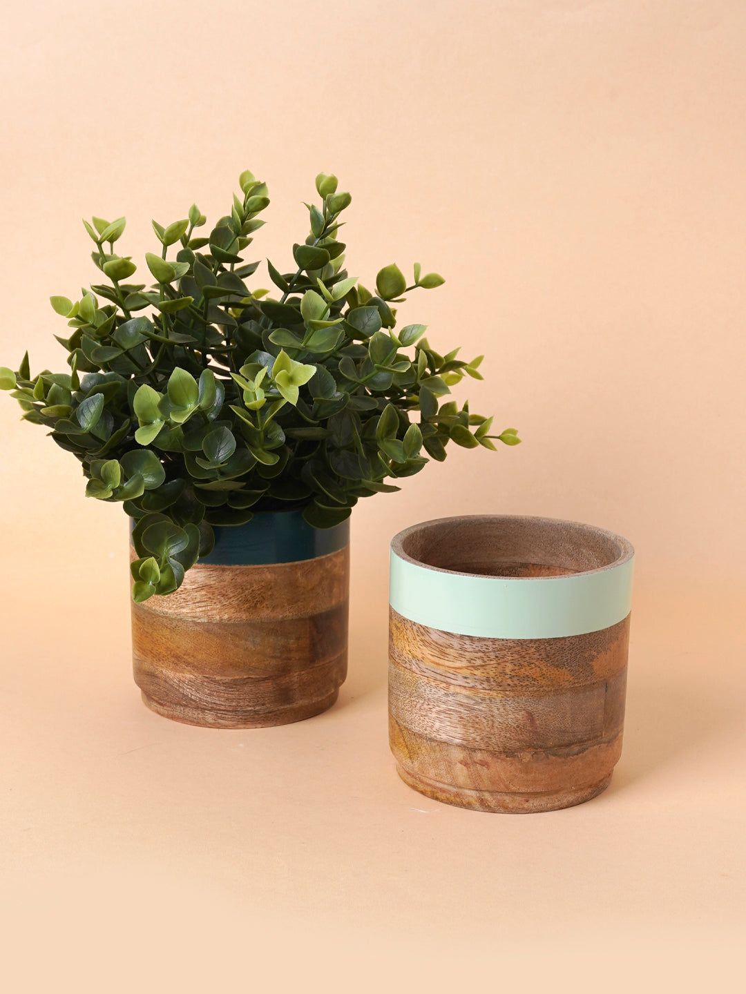 wood-green-planter-combo-nurture-india