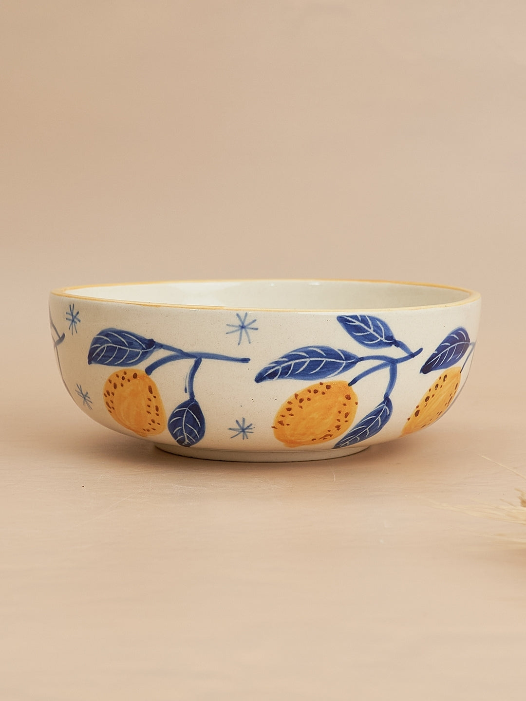 lemons bowl handpainted nurture india