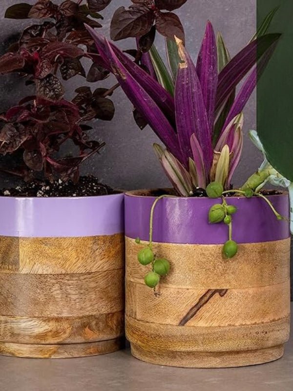 Light & Dark Purple Planter Combo - Nurture India