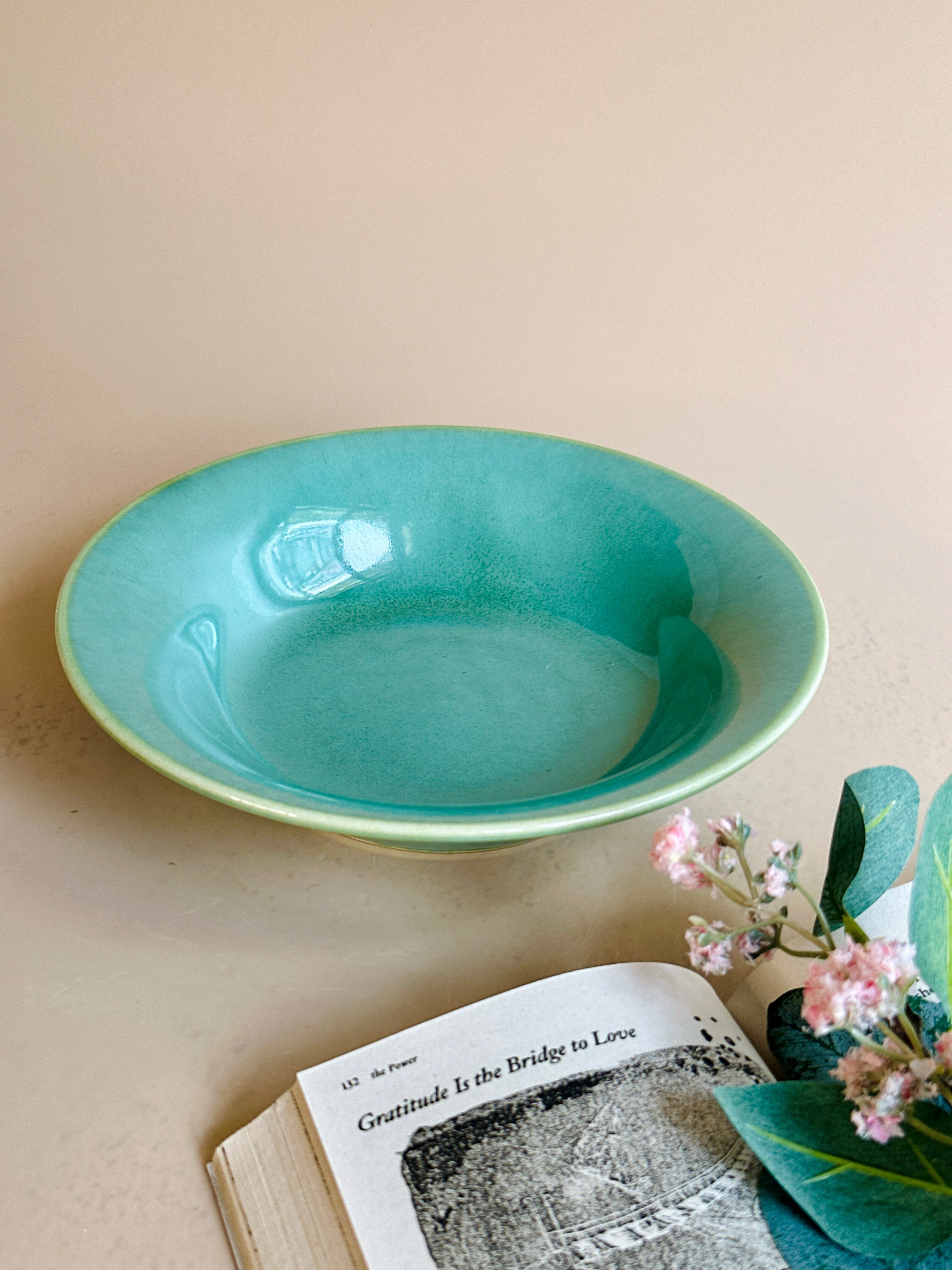 pasta plate sea green nurture india