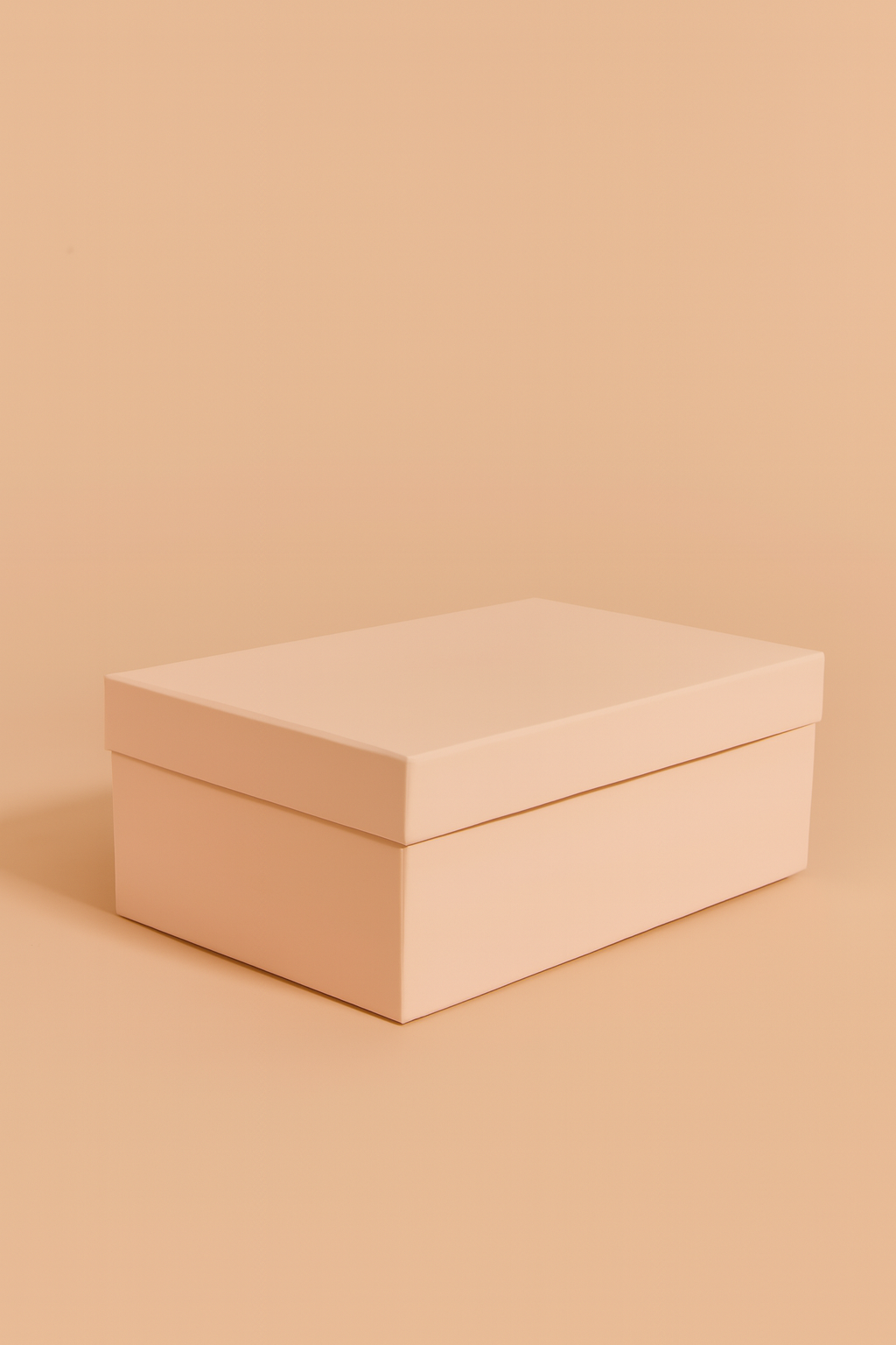 Large Gift Box With Ribbon (Gifting Box Only)