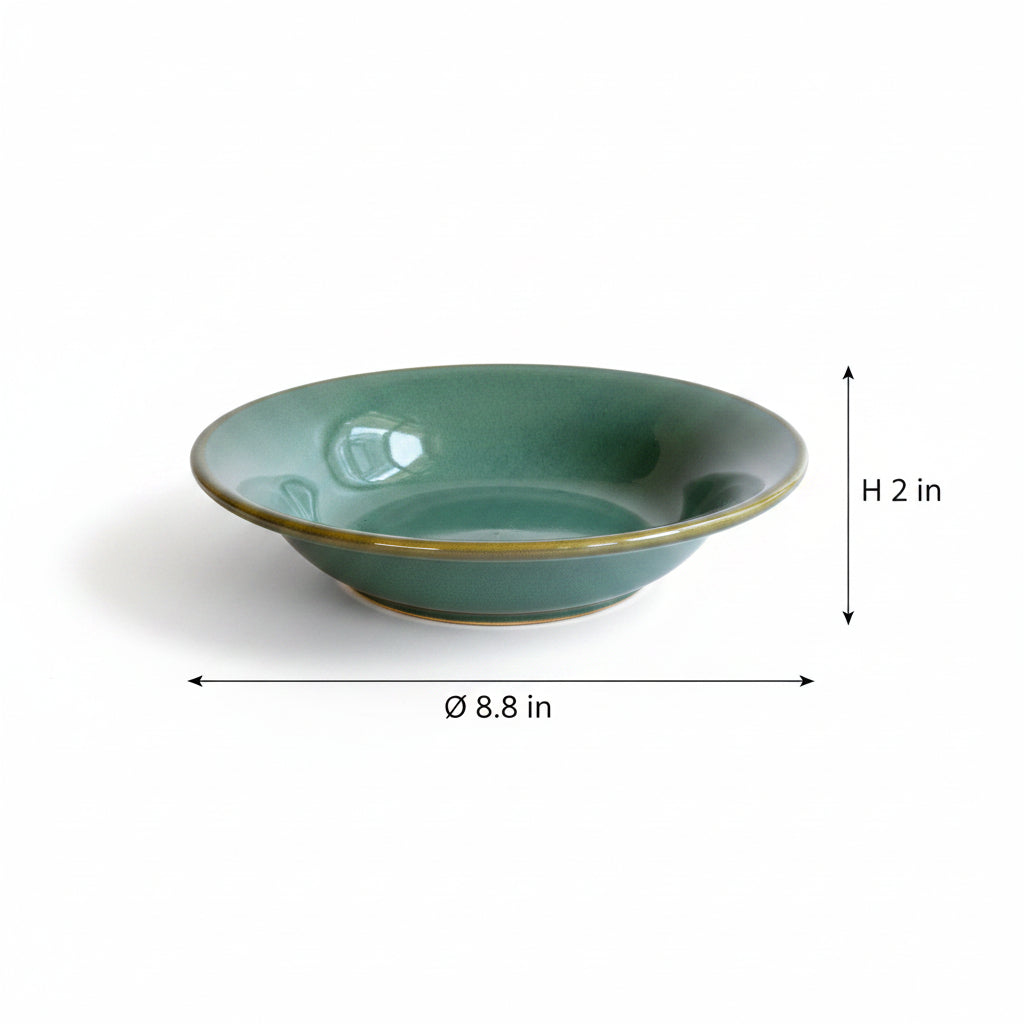 sea green pasta plate nurture india