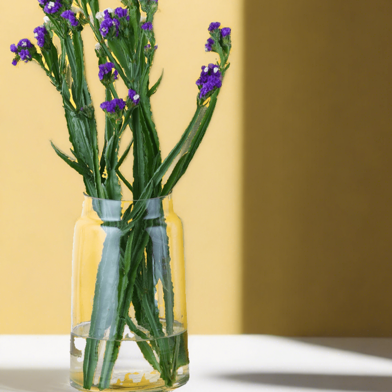 Transparent Glass Minimal Conical Terri Vase - Nurture India