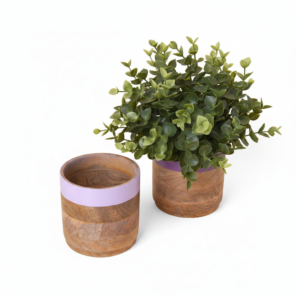 wood-purple-planter-combo-nurture-india