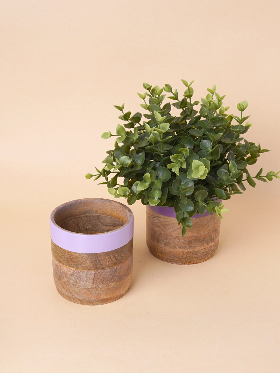 wood-purple-planter-combo-nurture-india