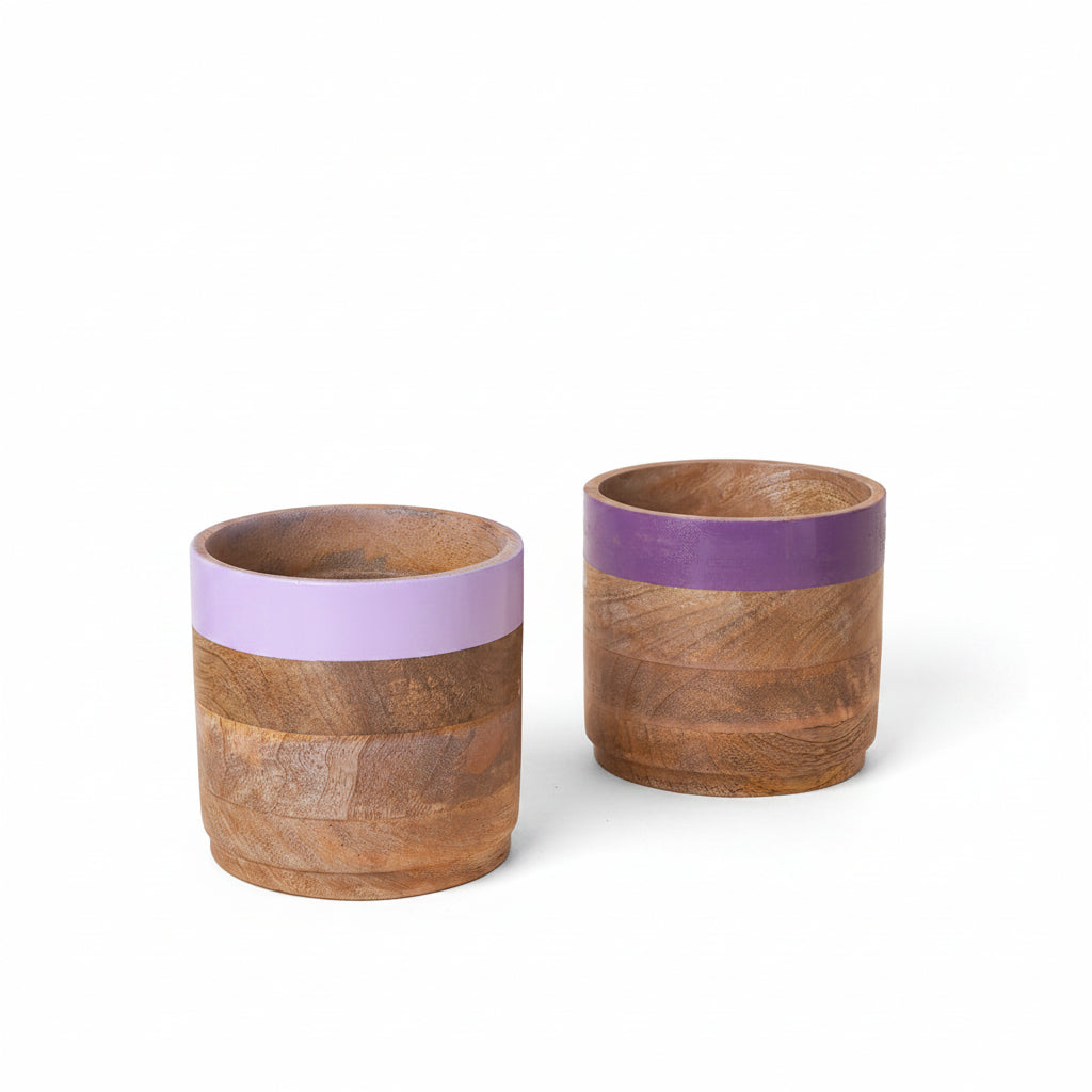 wood-purple-planter-combo-nurture-india